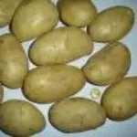 картофель и лук из египта
